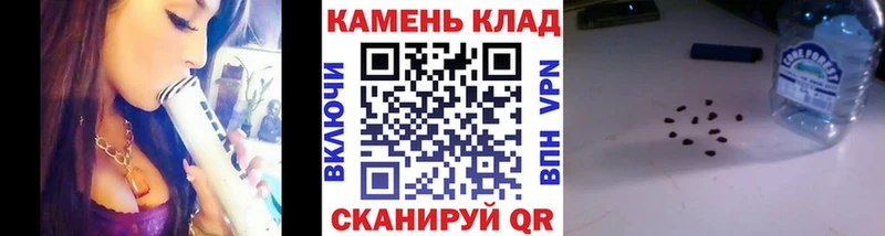 сколько стоит  Болхов  ГАШИШ Изолятор 