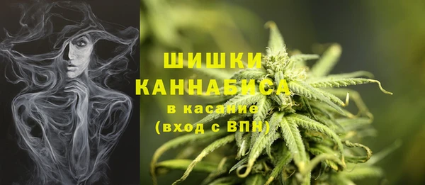 прущие крисы Белокуриха