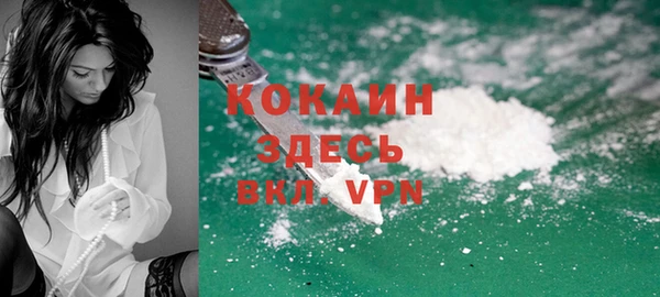 дживик Дмитриев