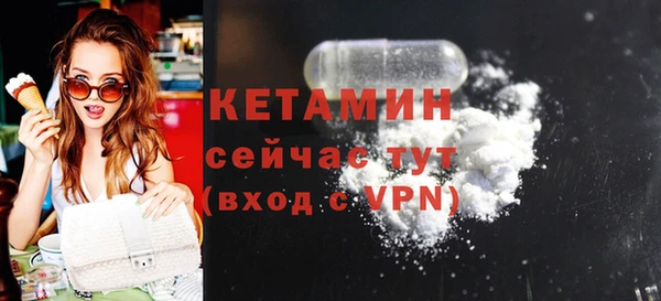крисы Дмитров